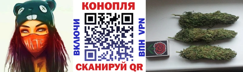 Марихуана сатива  Славск 